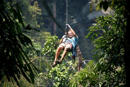 gibbon (37)